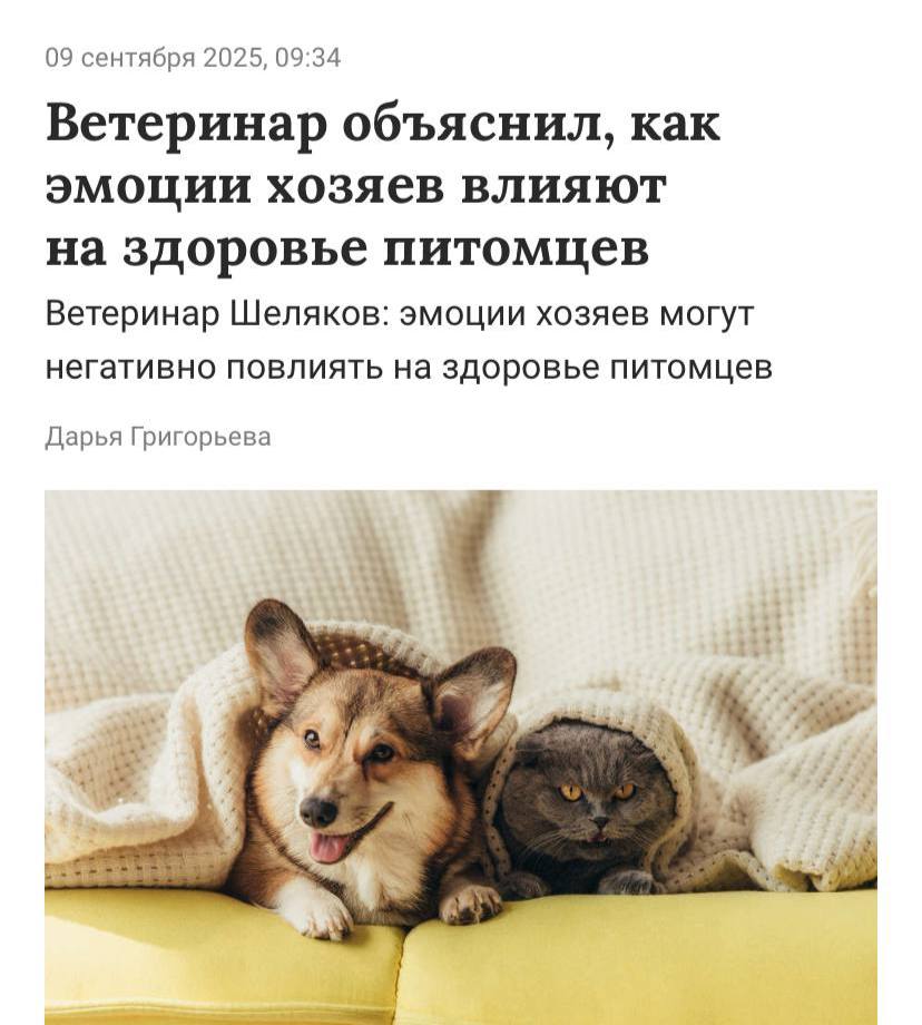Ваш стресс убивает вашего питомца